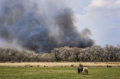 New Mexico Fire