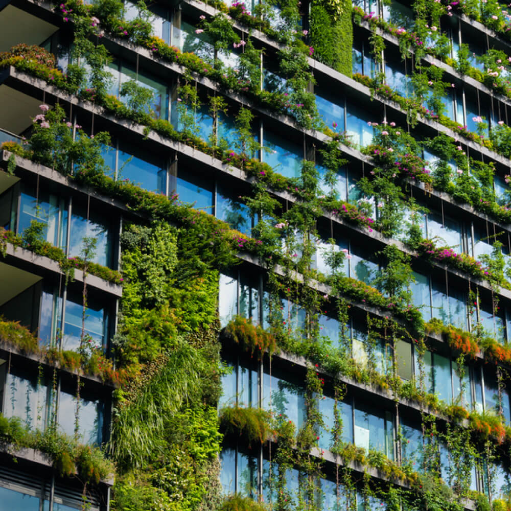 A modern building featuring vibrant plants flourishing on its side