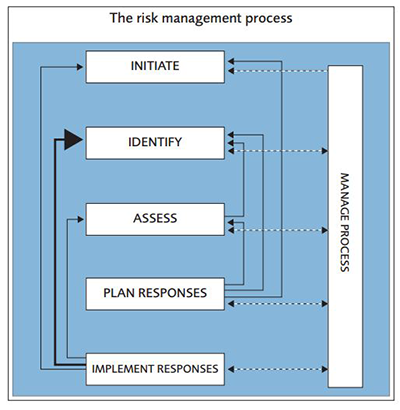 The risk management process